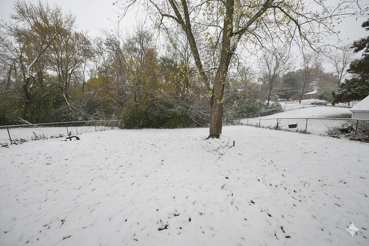 3193 Elkhorn Drive - Photo 9