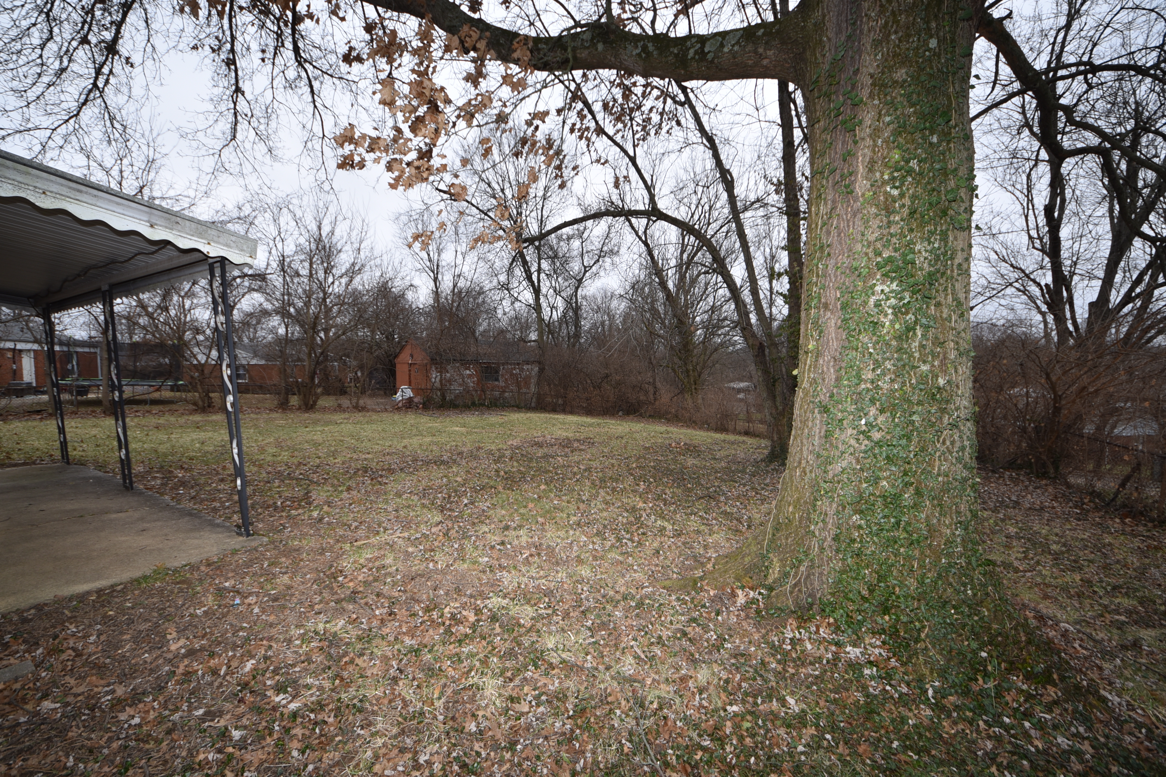 1047 Wellspring Dr, Cincinnati OH, 45231 - Photo 15